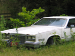 Cash for Junk Cars Chicago